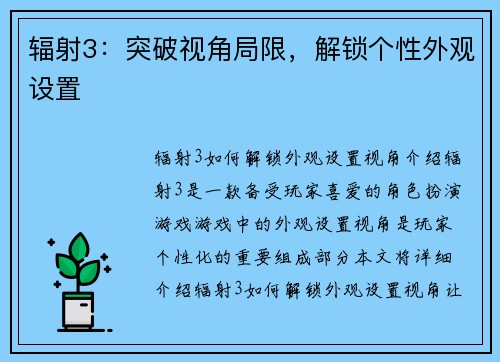 辐射3：突破视角局限，解锁个性外观设置